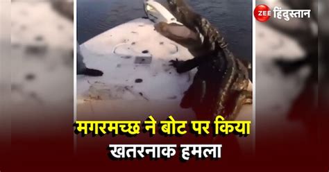 Crocodile Attacked On Boat People Saved Their Lives With Great Difficulty Instagram Wild Video