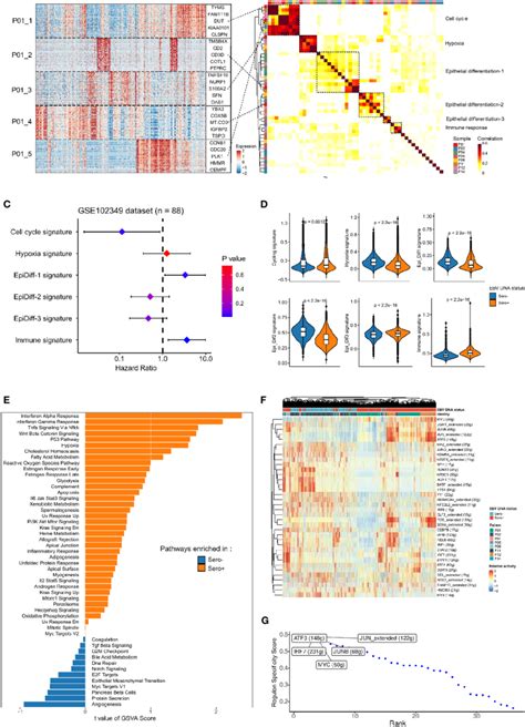 Malignant Cells Profiles Between Ebv Dna Sero And Sero Npcs A