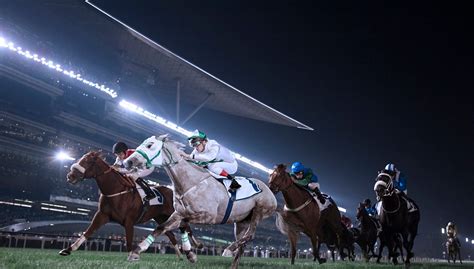 迪拜赛马世界杯 Dubai World Cup 迪拜 Arrivalguides