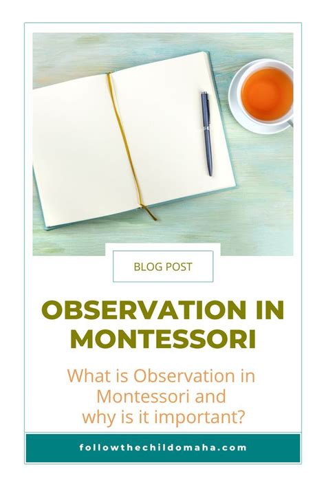 Observation In Montessori Follow The Child Only Through Observation