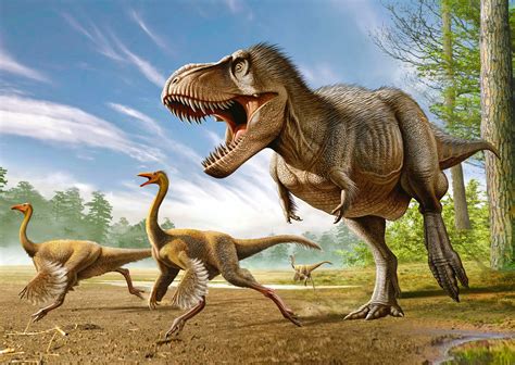 T-Rex Hunting Struthiomimus - Postcard - Authentic Cards, Inc.