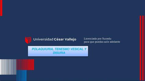 Polaquiuria Tenesmo Vesical Y Disuria Milagros Calder N Udocz