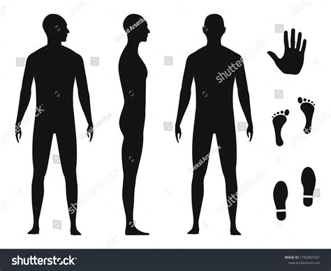 Vektor Stok Human Body Silhouette Bald Naked Barefoot Tanpa Royalti