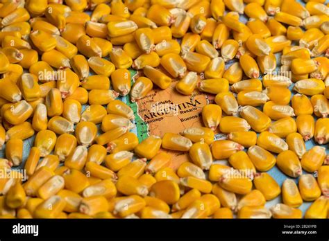 Corn Kernels On Map Of Argentina Argentinian Agriculture Imports
