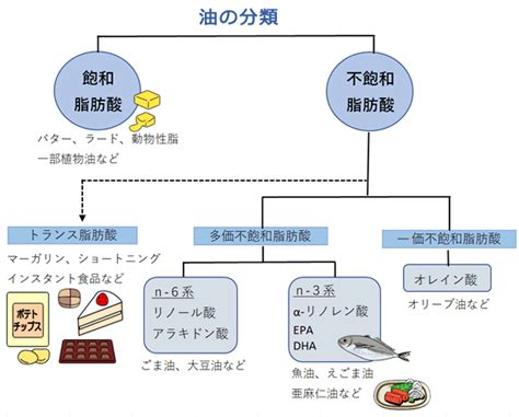 第20回 カラダに良い油・悪い油 栄養士コラム 同友会グループ