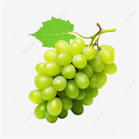 The Delicate Beauty Of Green Grapes Grapes Fruit Food Png