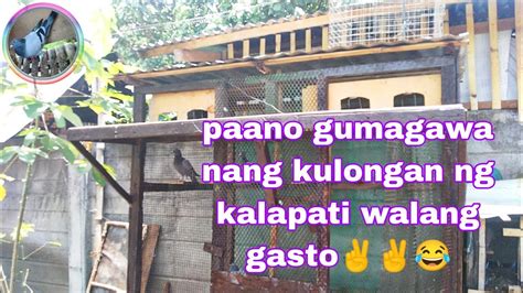 PAANO GUMAWA NG KULUNGAN NG KALAPATI PIGEON LOFT LOFT DESIGN YouTube