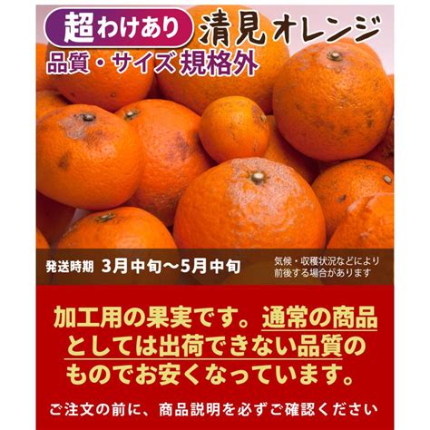 超わけあり 清見オレンジ 10kg 【 送料無料 Ksロットa 訳あり 清見 オレンジ 清見タンゴール きよみ 和歌山 柑橘 産地直送