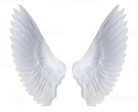 White Angel Wings Png