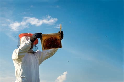 Premium Photo Beekeeper Holding A Honeycomb Full Of Bees