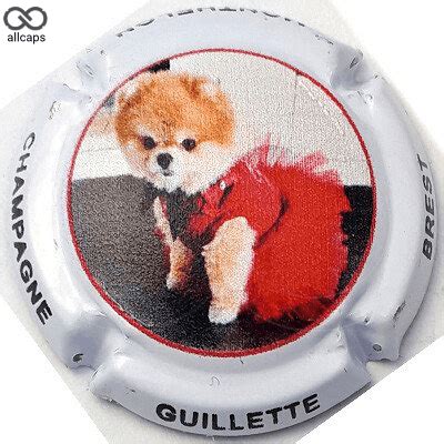 Capsule A B Chien Robe Rouge Contour Blanc Champagne Guillette