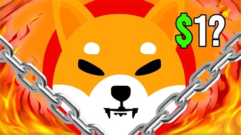 Massive Break The Ceo Of Shiba Inu Coin Launches Shibarium Today