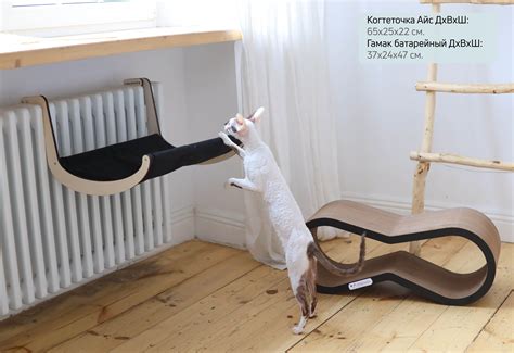 Когтеточка в интерьере (58 фото)