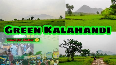 Beautiful Nature💚🍃 Of My Kalahanditowards Chhatar Yatra 2022crowds