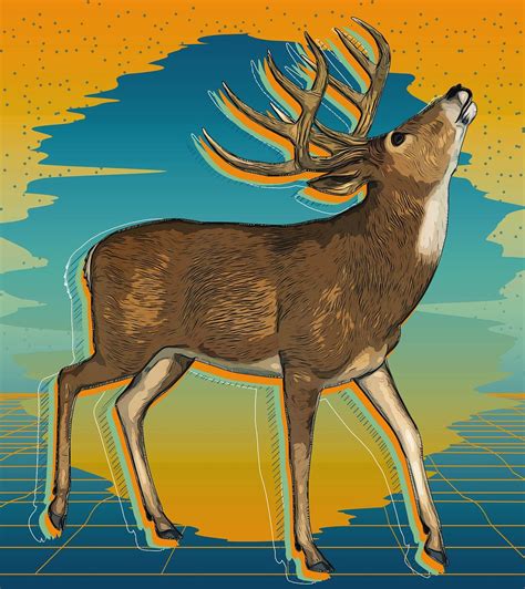 9000 Free Deer Buck And Deer Images Pixabay
