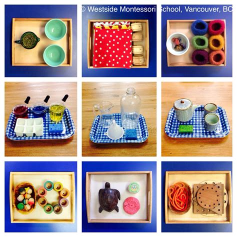 A Collage Of Some Of The Montessori Practical Life Activities In Our Classrooms Pr… Aktivitas