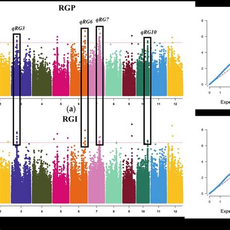 Manhattan Plots And Quantile Quantile Q Q Plots Of Gwas For The Salt Download Scientific