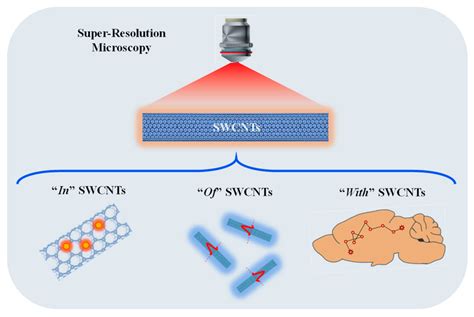 Schematic Representation Of Super Resolution Microscopy Srm