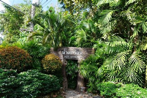 Krabi Rainforest Hot Spring Waterfall Emerald Pool Tiger Cave Temple Tour