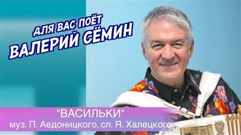 Песня из прошлого под баянчик от ВАЛЕРИЯ СЁМИНА ️ ВАСИЛЬКИ Очень