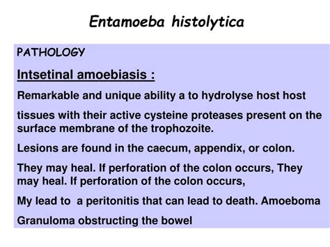 Ppt Intestinal` Protozoa Powerpoint Presentation Free Download Id1015517