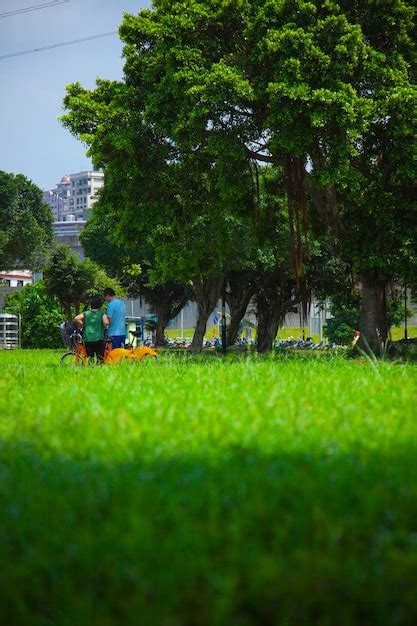 El Carril De Bicicletas Limpio Del Parque Fluvial Bajo El Cielo Azul Y