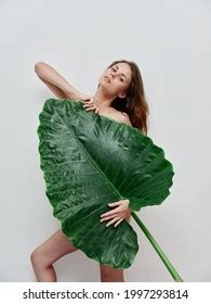 Woman Naked Body Palm Leaf Exotic Stock Photo 1997293814 Shutterstock