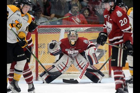 Sicoly A Bright Spot In Dismal Guelph Storm Season 4 Photos Guelph News