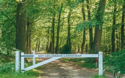 Mooiste Wandelroutes Op De Veluwe Wandeldingen Nl