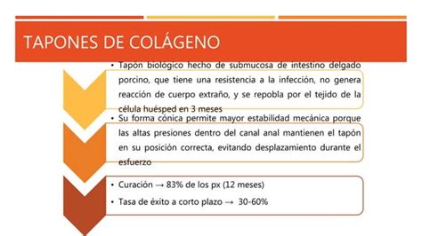 Abscesos Fistulas Perianales Y Quiste Pilonidal PPT