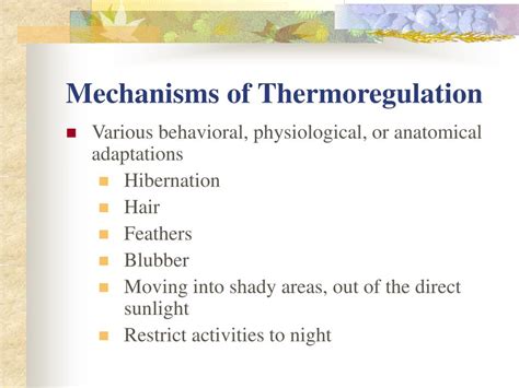 PPT - Thermoregulation PowerPoint Presentation, free download - ID:1775227