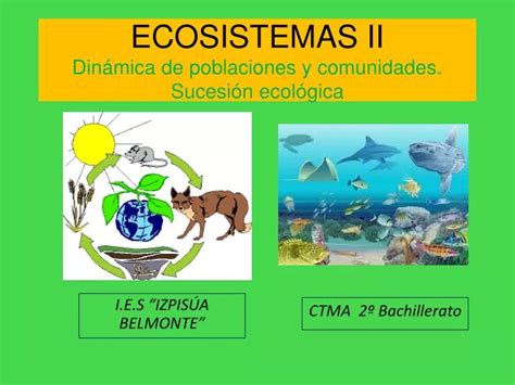 Ppt Ecosistemas Ii Din Mica De Poblaciones Y Comunidades Sucesi N