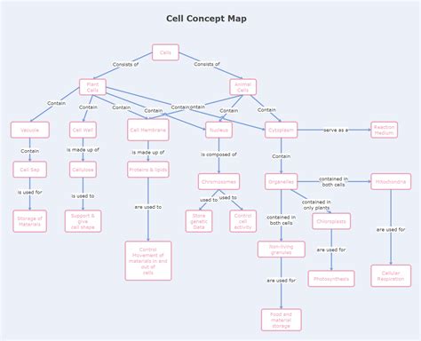 Cell Cycle Concept Map Mitosis