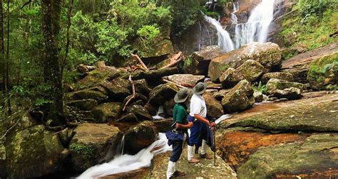 De 10 Beste Wandelen Trekking Rondreizen Naar Sri Lanka In 2025