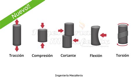 Tipos de física descubre cuáles son CCFProsario ar