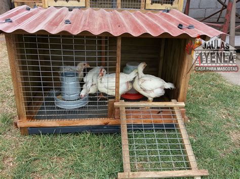 CASA PARA POLLOS Viveiros De Galinhas Galinheiro Animais