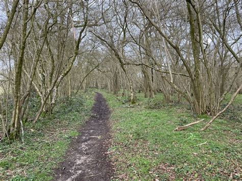 Bridleway Through Popham Down Copse Mr Ignavy Geograph Britain And