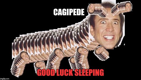 Cagipede Imgflip