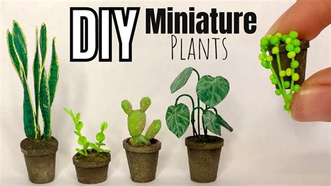 Mini Plants Diy Diy Plants Diy Miniature Garden Miniature Plants