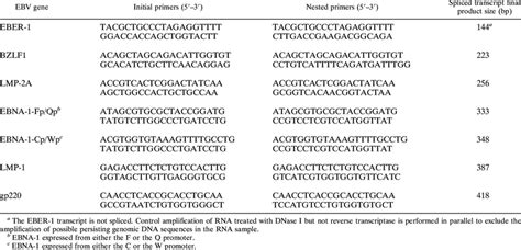 Ebv M Rt Pcr Target Genes Primer Sequences And Product Sizes