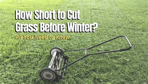 How Short To Cut Grass Before Winter The Backyard Pros