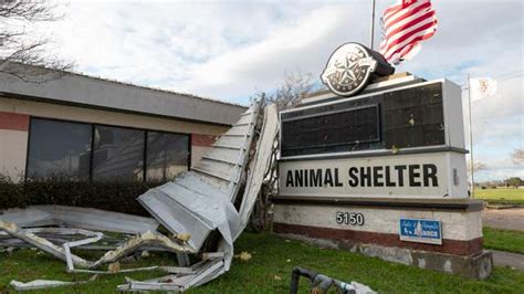 70 Animals Survived Tornado At Houston-Area Shelter | Weather.com