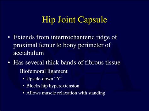 Ppt Hip Dislocations And Femoral Head Fractures Powerpoint