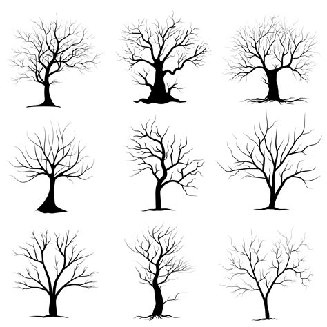 Black Branch Tree Or Naked Trees Silhouettes Set Hand Drawn Isolated Illustrations