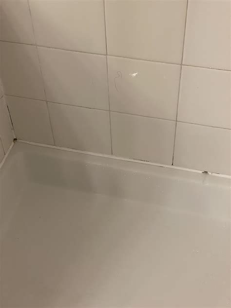 Weep holes in shower? : r/Plumbing