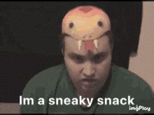 I M A Snake I M A SNAKE Discover Share GIFs