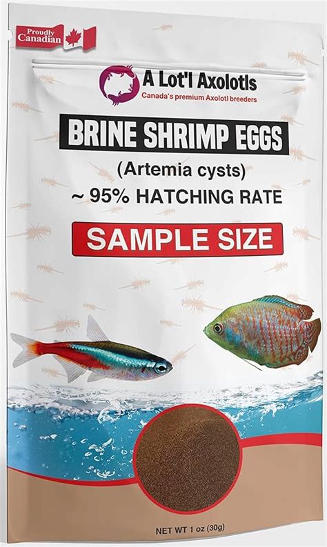 Amazon A Lot L Axolotls 95 Hatch Rate AAA Brine Shrimp Eggs