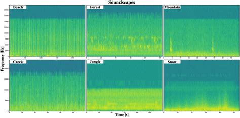 Spectrograms Of The Various Soundscapes During A Walk The Background Download Scientific