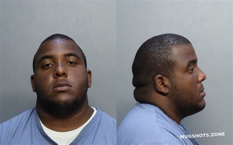 Lustin Luise Miami Dade County Mugshots Zone