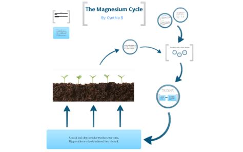 Magnesium Cycle In Soil